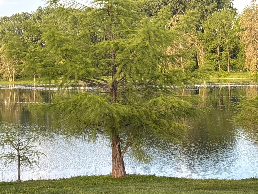 walking near me in Ariel-Foundation Park in summer