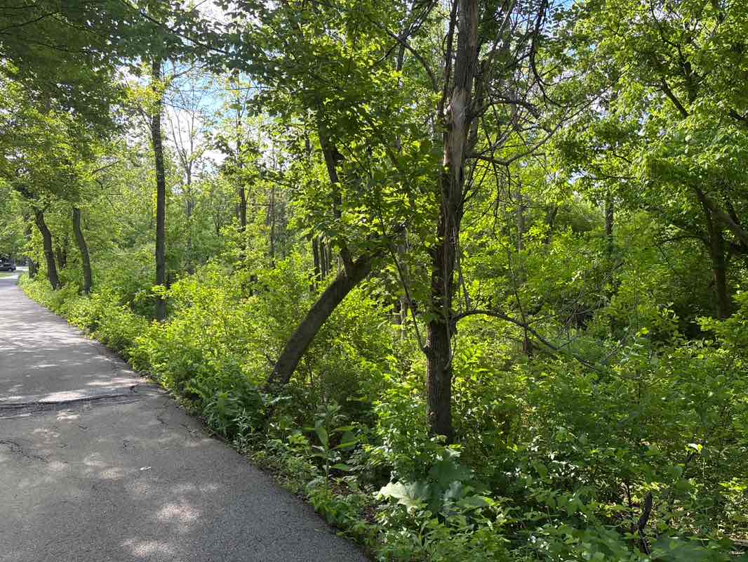 walking near me in Alum Creek Park North in spring