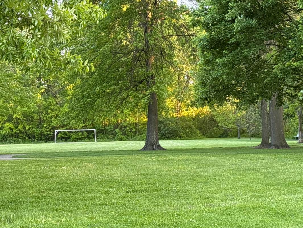 walking near me in Lazelle Woods Park in spring
