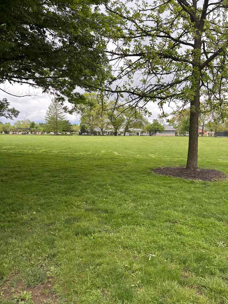walking near me in Northam Road Park in spring