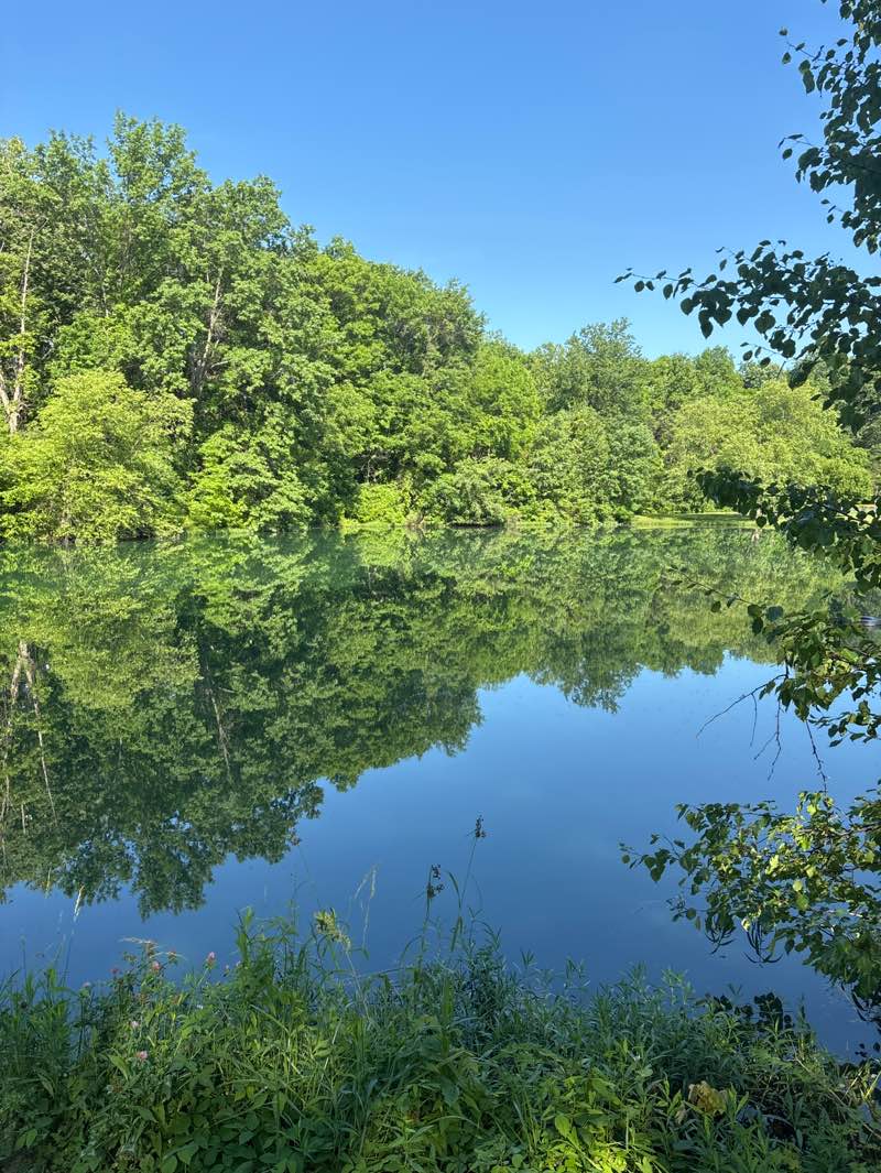 walking near me in Woodside Green Park in summer