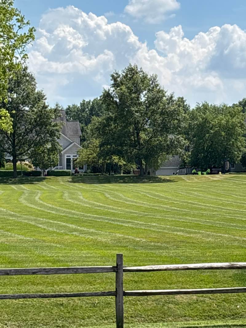 walking near me in North Orange Park in summer