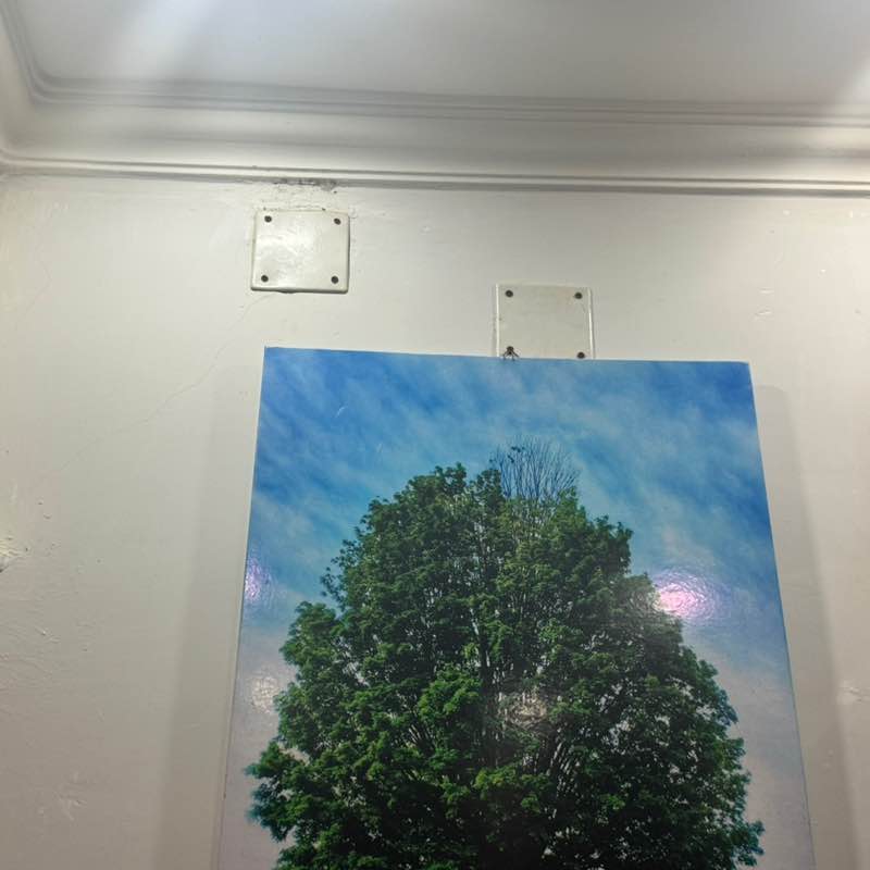 Hailay Teame Hailay post image