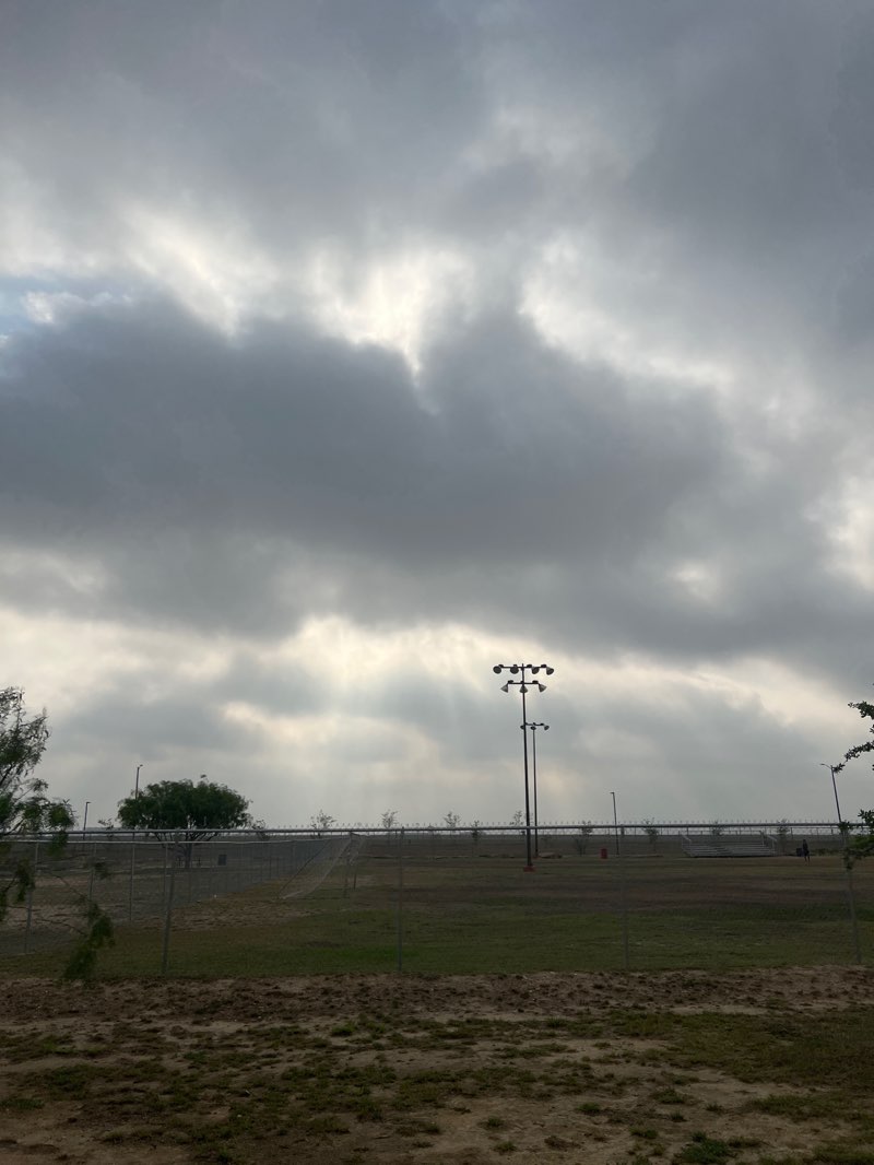 walking near me in El Progreso Park in spring