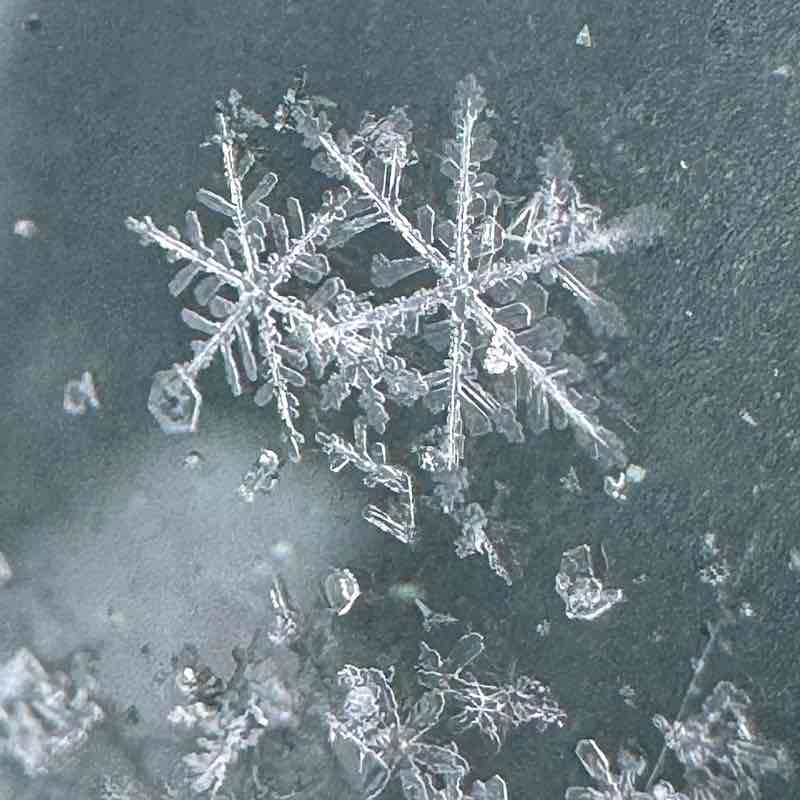 👟 ProstoNastya 🦔 post 3