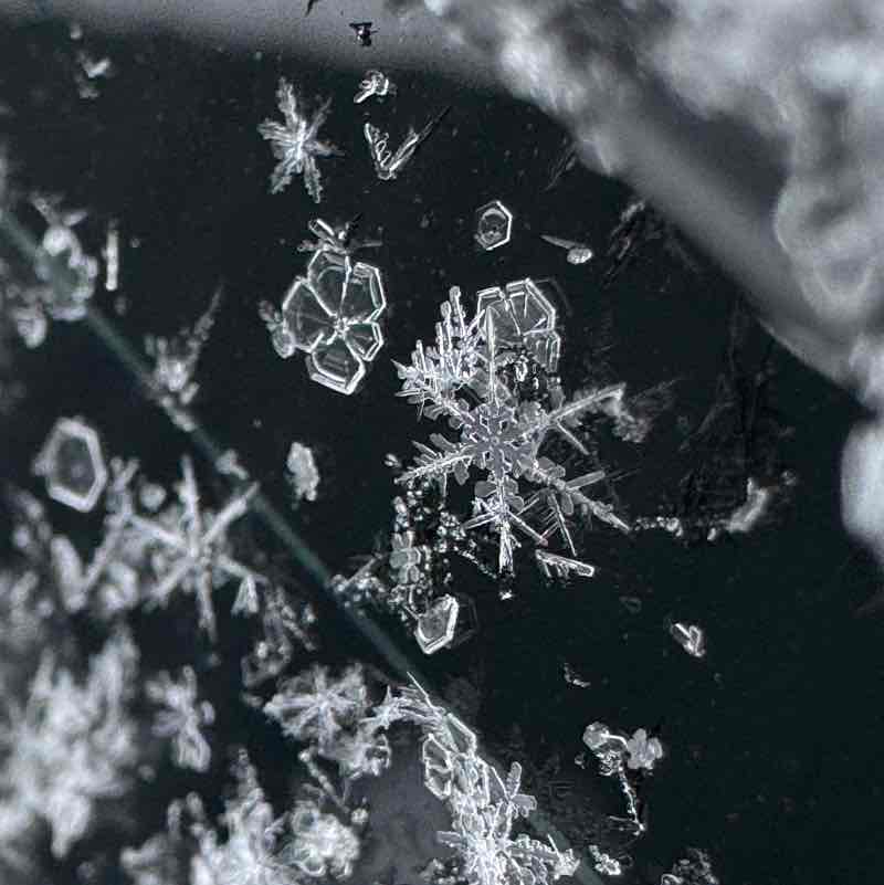 👟 ProstoNastya 🦔 post 2