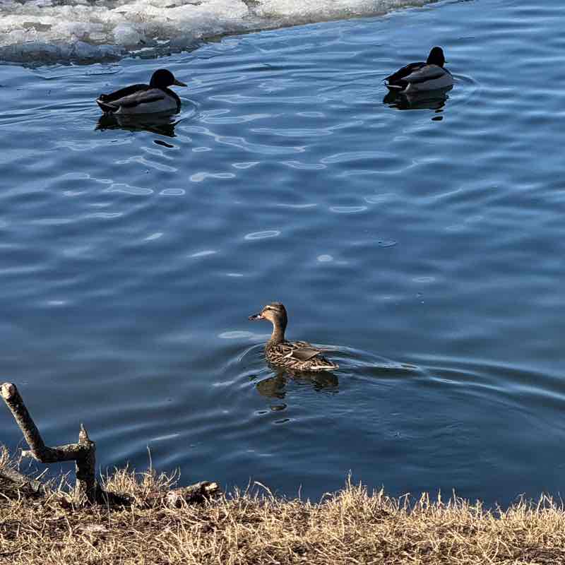 👟 ProstoNastya 🦔 post 2