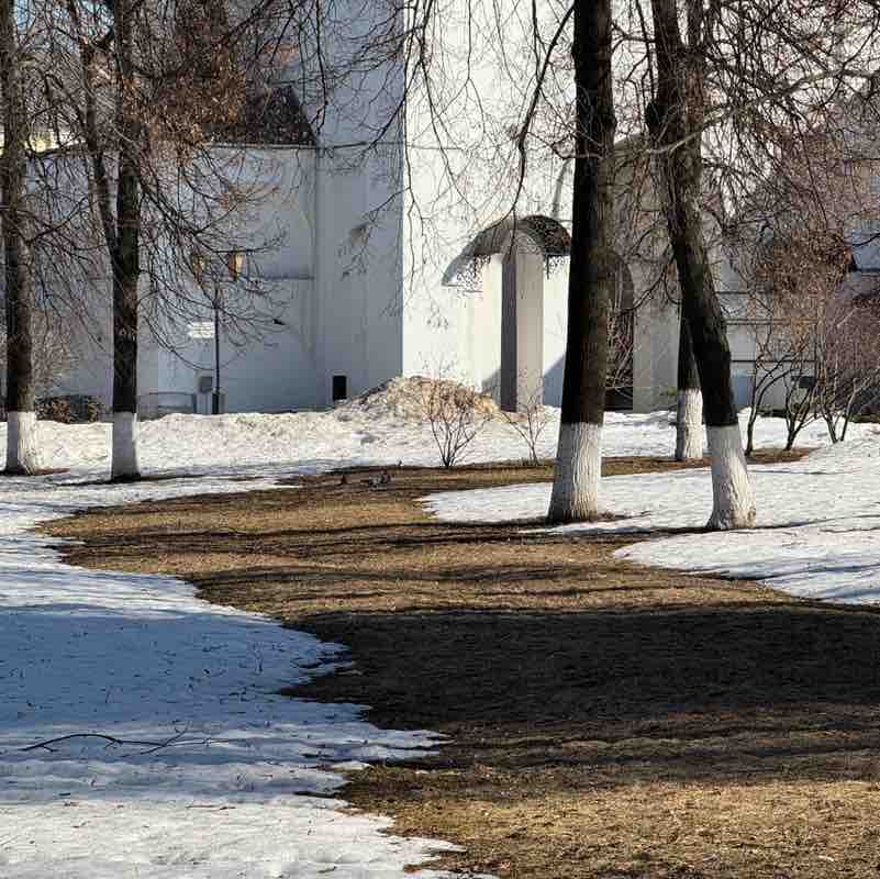 👟 ProstoNastya 🦔 post 3