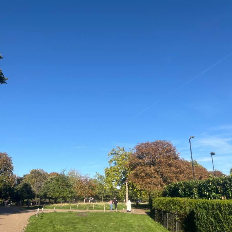 Larissa Tamires post 1