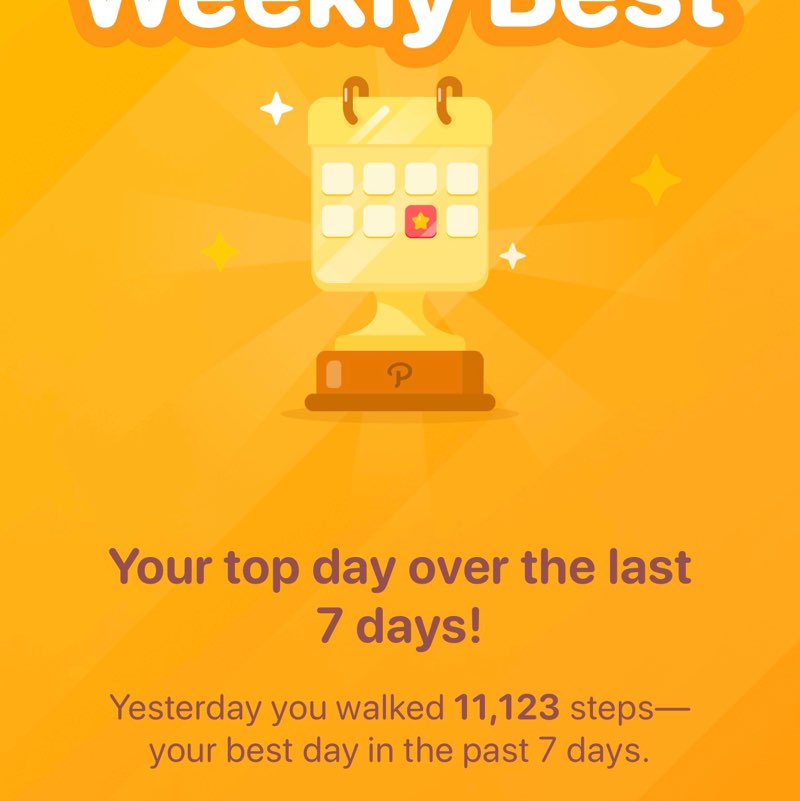 Temple Fit Walk/Run zoraida post image
