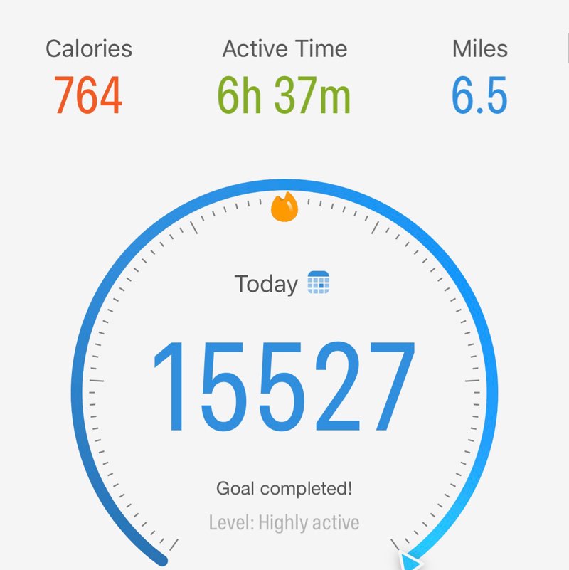 Temple Fit Walk/Run zoraida post image