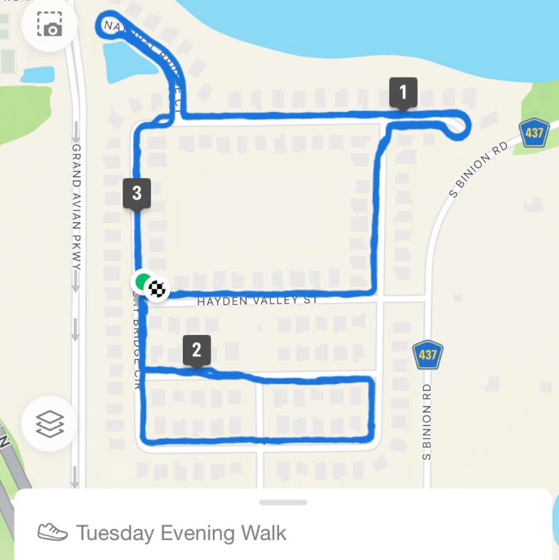 Temple Fit Walk/Run zoraida post image