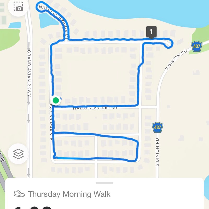 Temple Fit Walk/Run zoraida post image