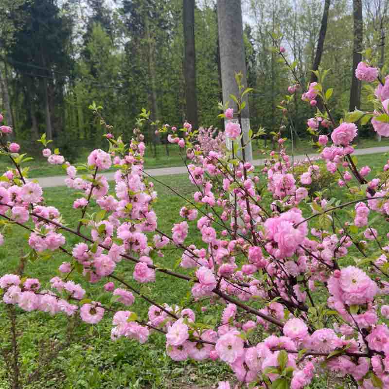 Екатерина post 3