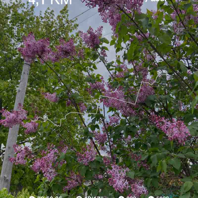 Екатерина post 1