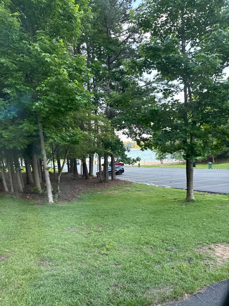 walking near me in Mary Alice Park in summer