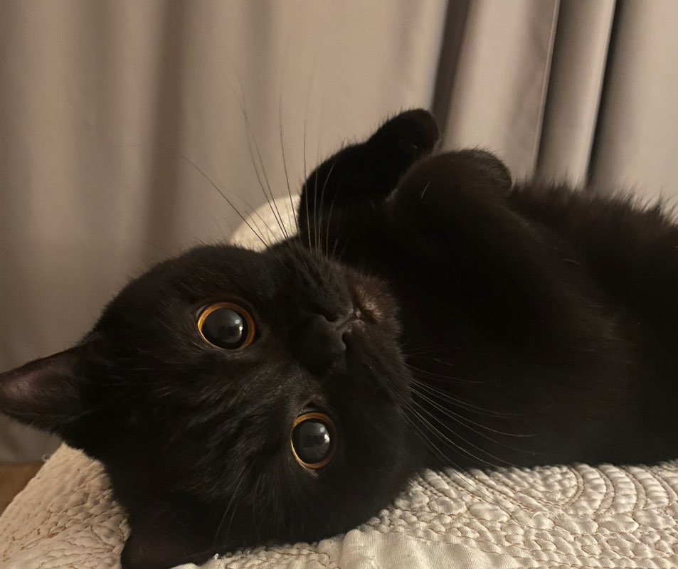 Ольга Ягур profile