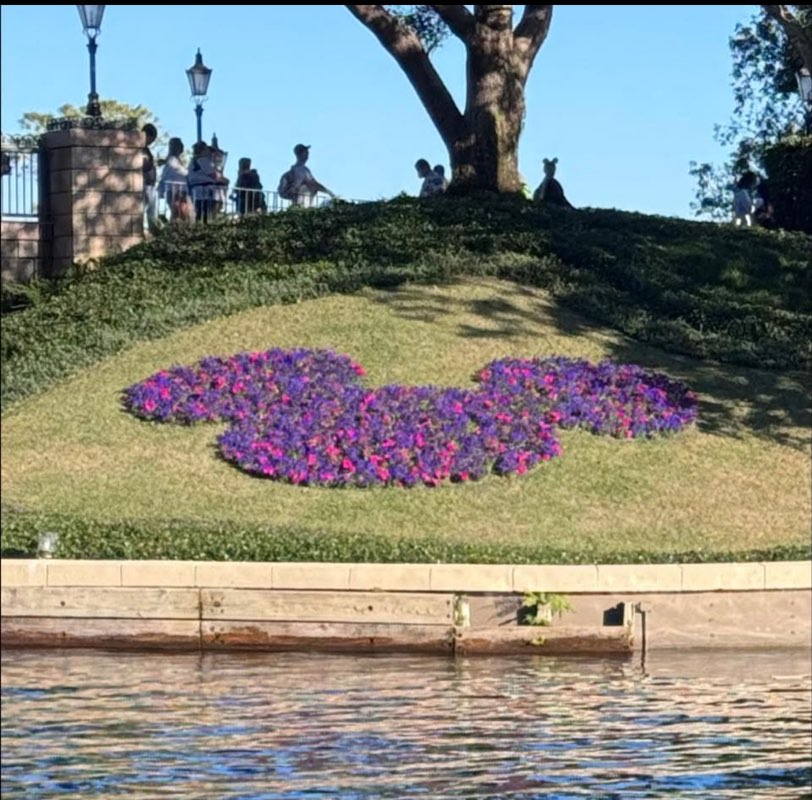 Emily Carson profile