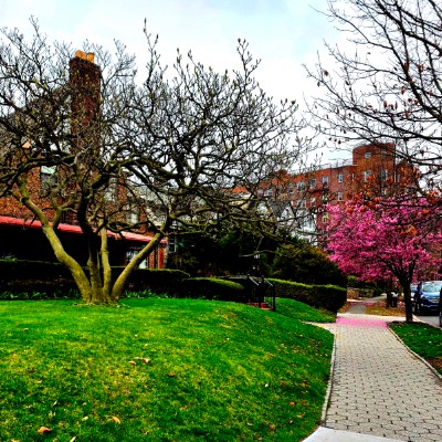 Bklyn Amigos Kevin Kelly post image