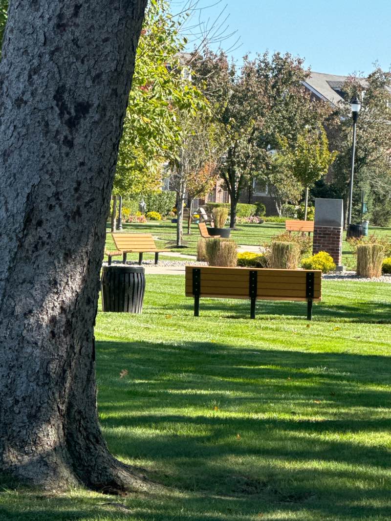 walking near me in Voris Park in autumn
