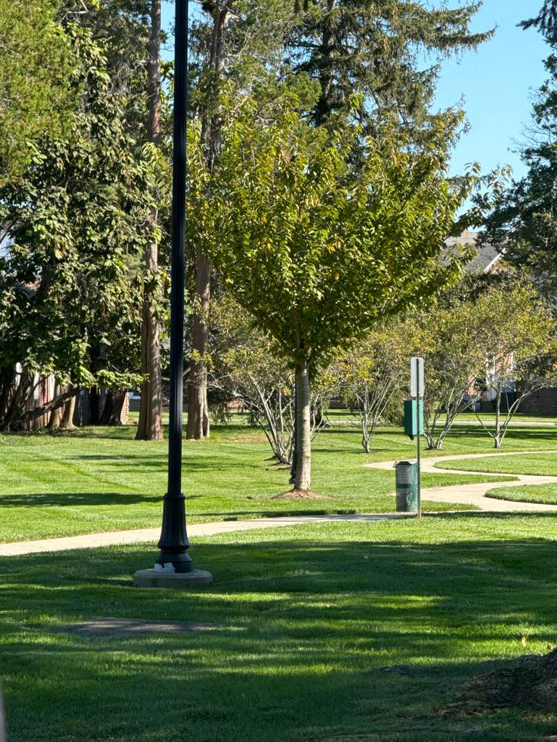 walking near me in Jagger Park in autumn