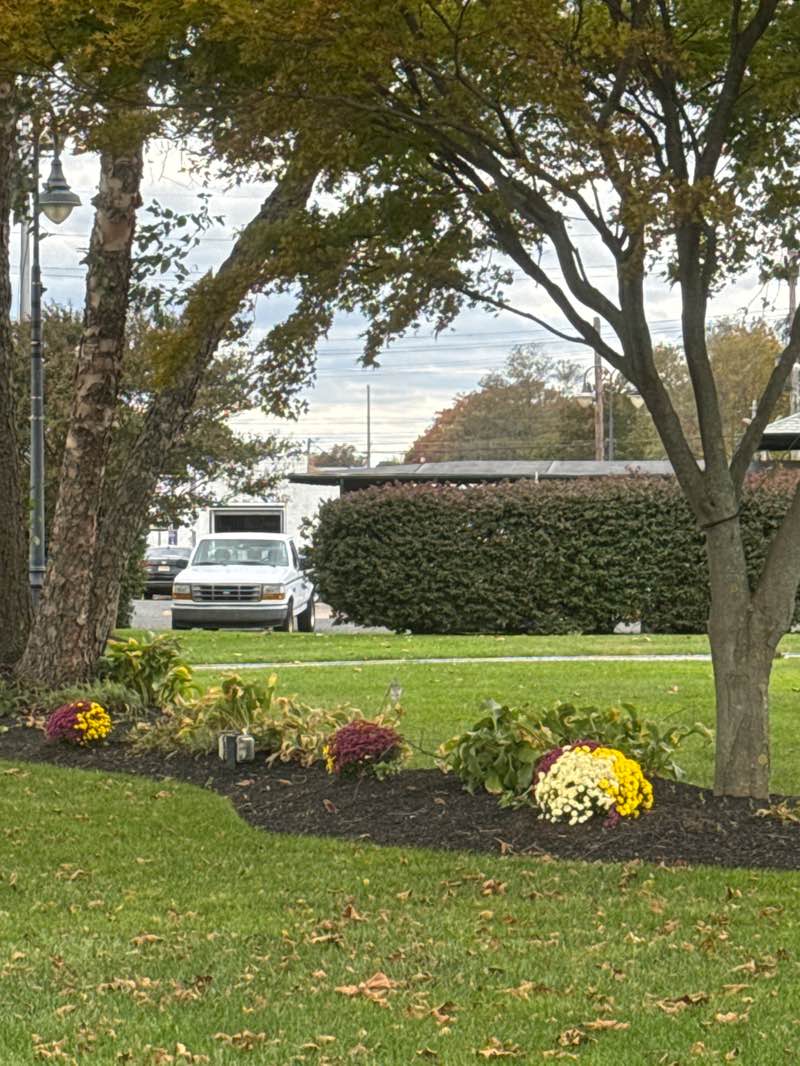 walking near me in Springwood Park in autumn