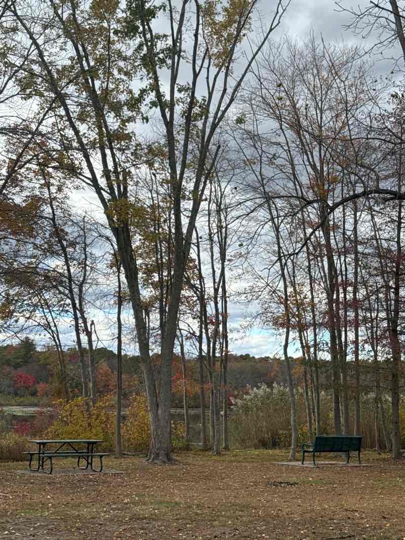 walking near me in Jamesburg County Park in autumn