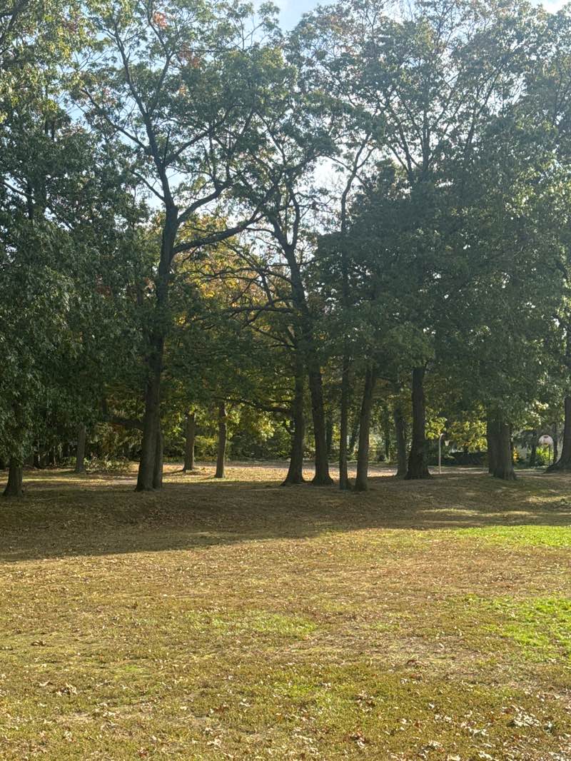 walking near me in Deer Hollow Park in autumn