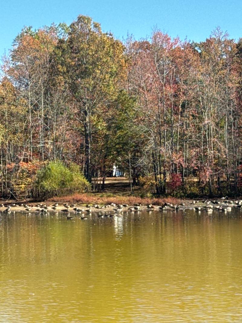 walking near me in Holiday Park in autumn