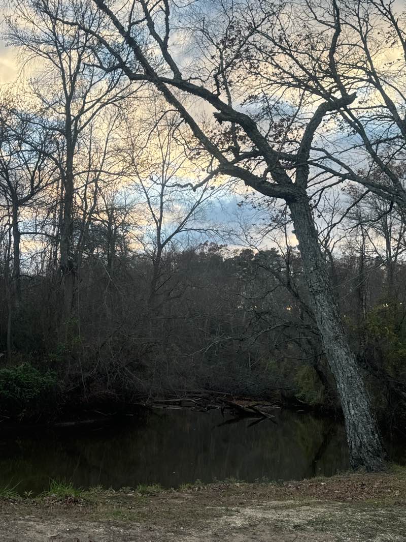 walking near me in Robert L Brice Memorial Park in autumn