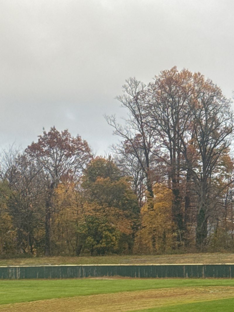 walking near me in Glider Park in autumn