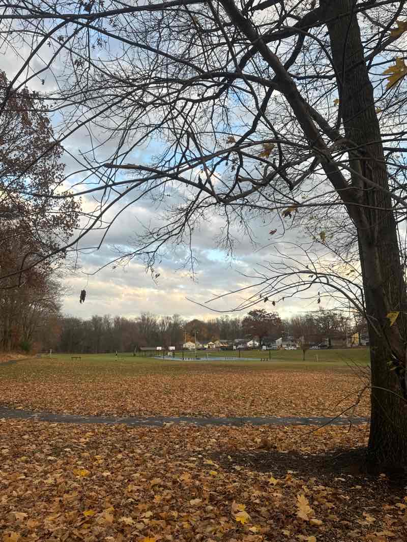 walking near me in Liberty Street and YMCA "Kaboom" Park in autumn