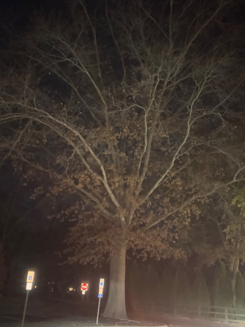 walking near me in Brielle Park in autumn