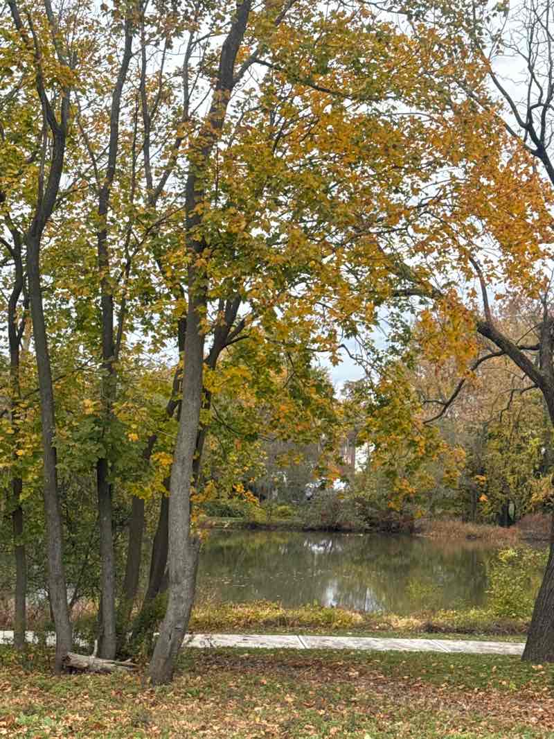 walking near me in Wampum Lake Park in autumn
