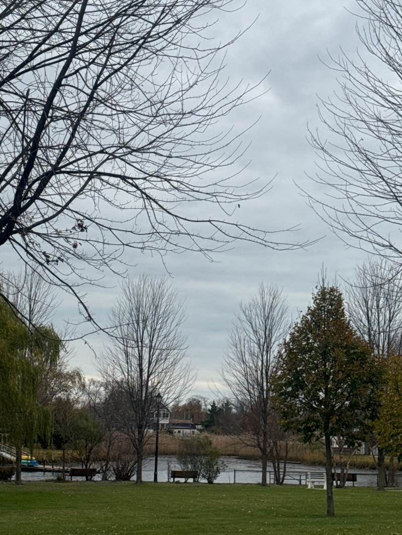 walking near me in Old Wharf Park in autumn