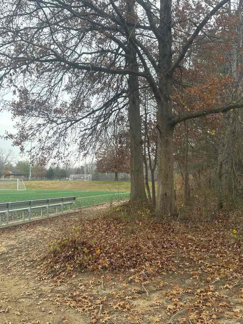 walking near me in Geick Park in autumn