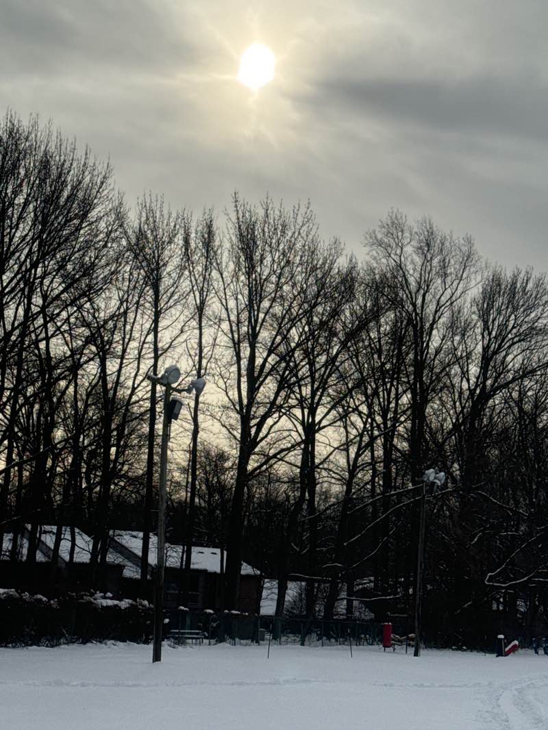 walking near me in Nutswamp Park in winter