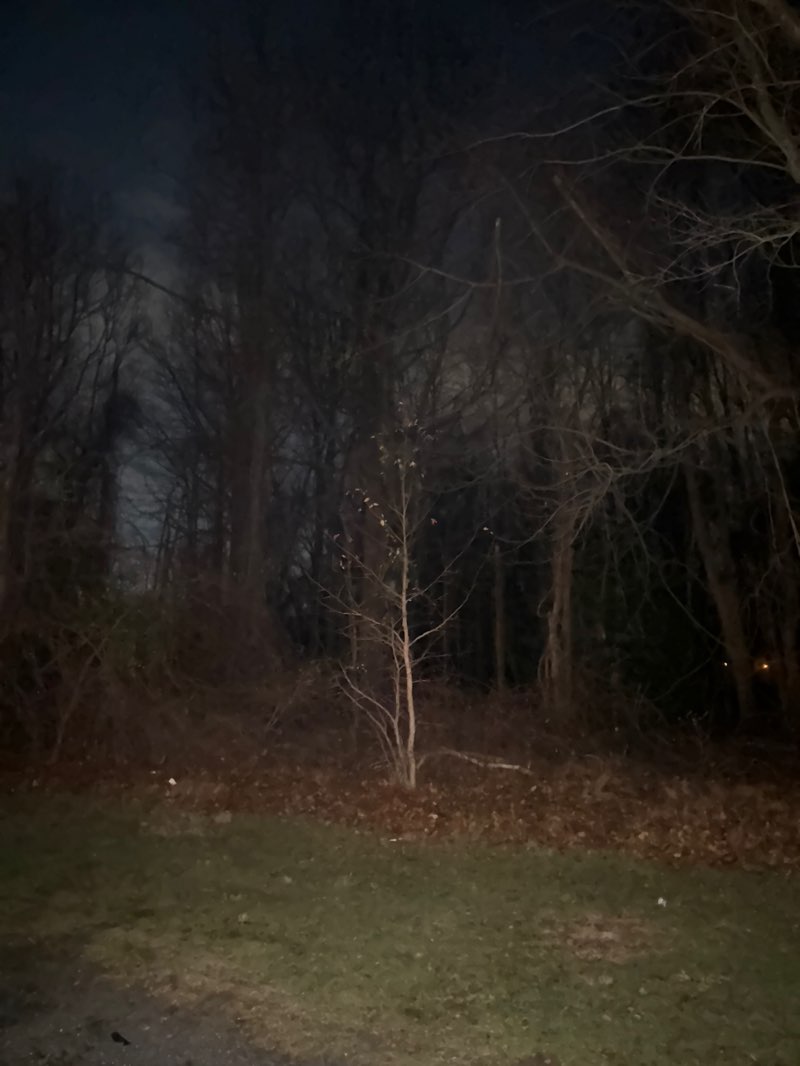 walking near me in West Front Street Park in winter