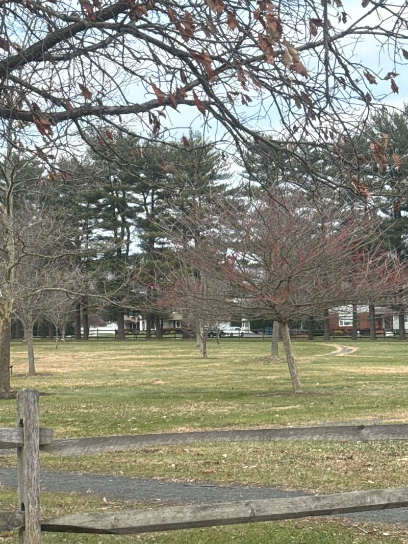 walking near me in Durand Park in winter