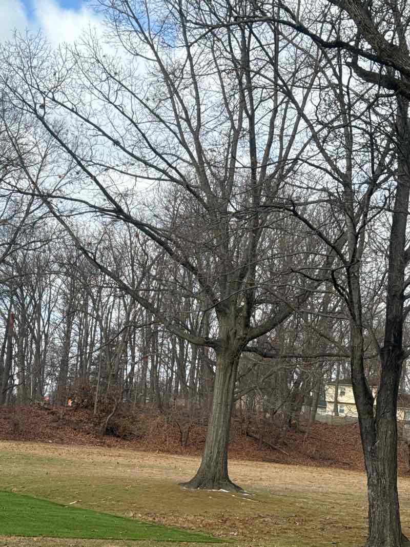 walking near me in Sadowski Play Area in winter