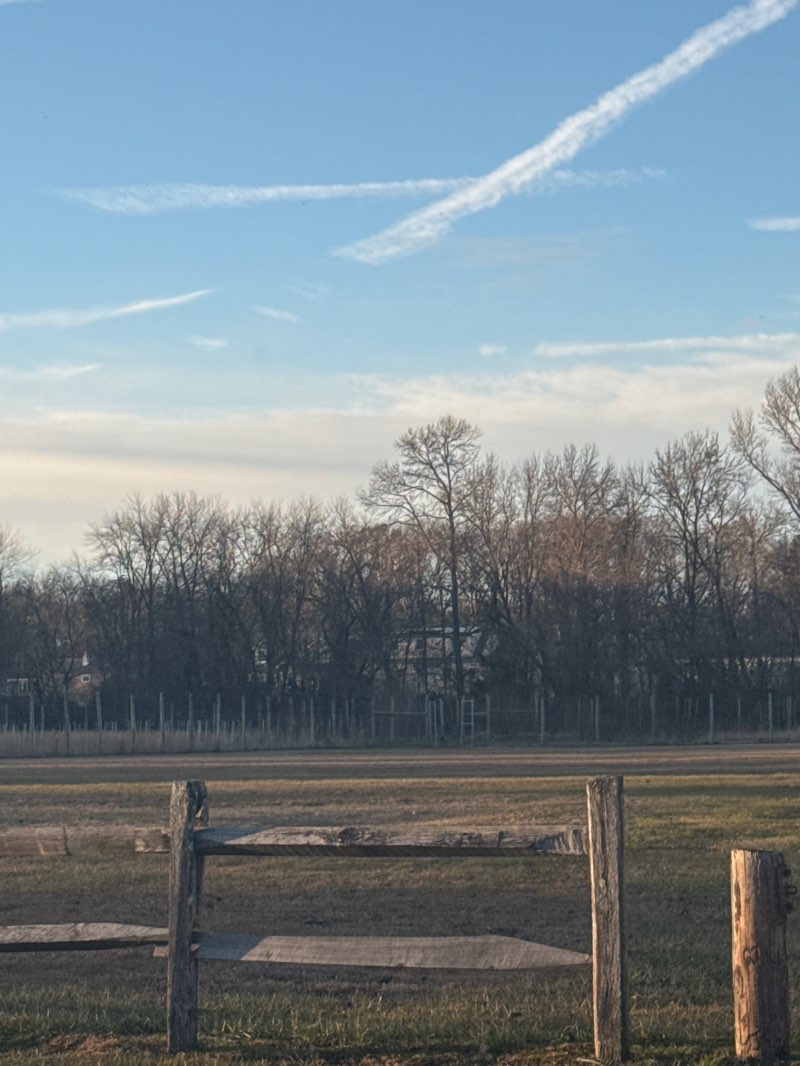 walking near me in Winston Park in winter
