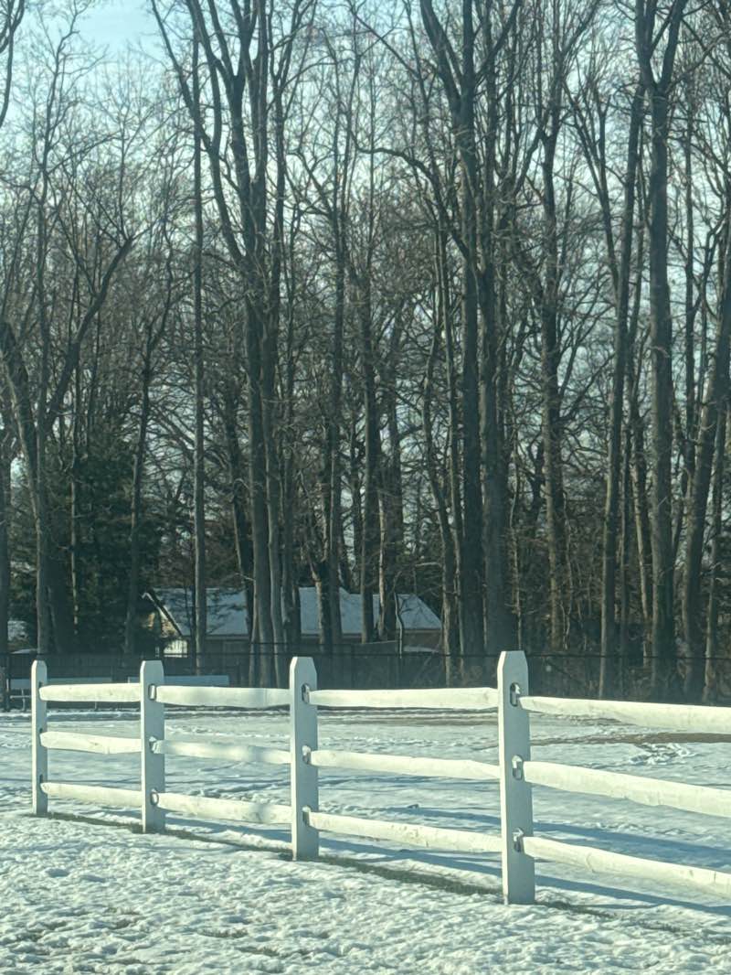 walking near me in John Parker Park in winter