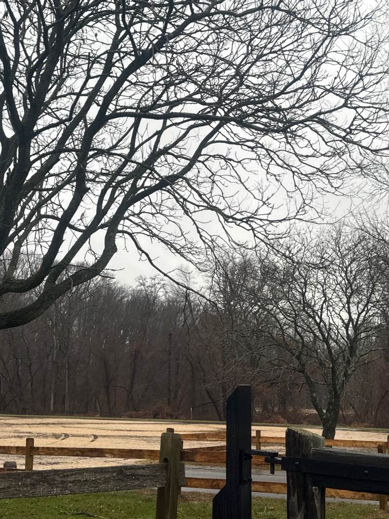 walking near me in East Freehold County Park in winter