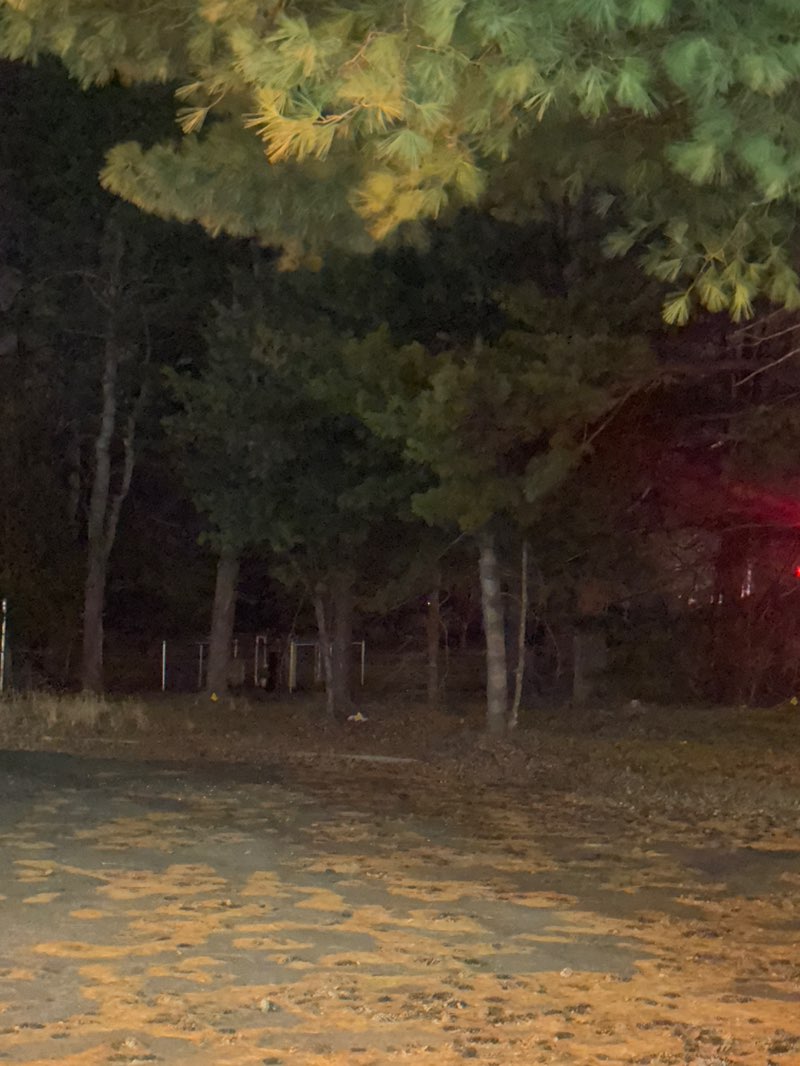 walking near me in Lincroft Village Green in winter