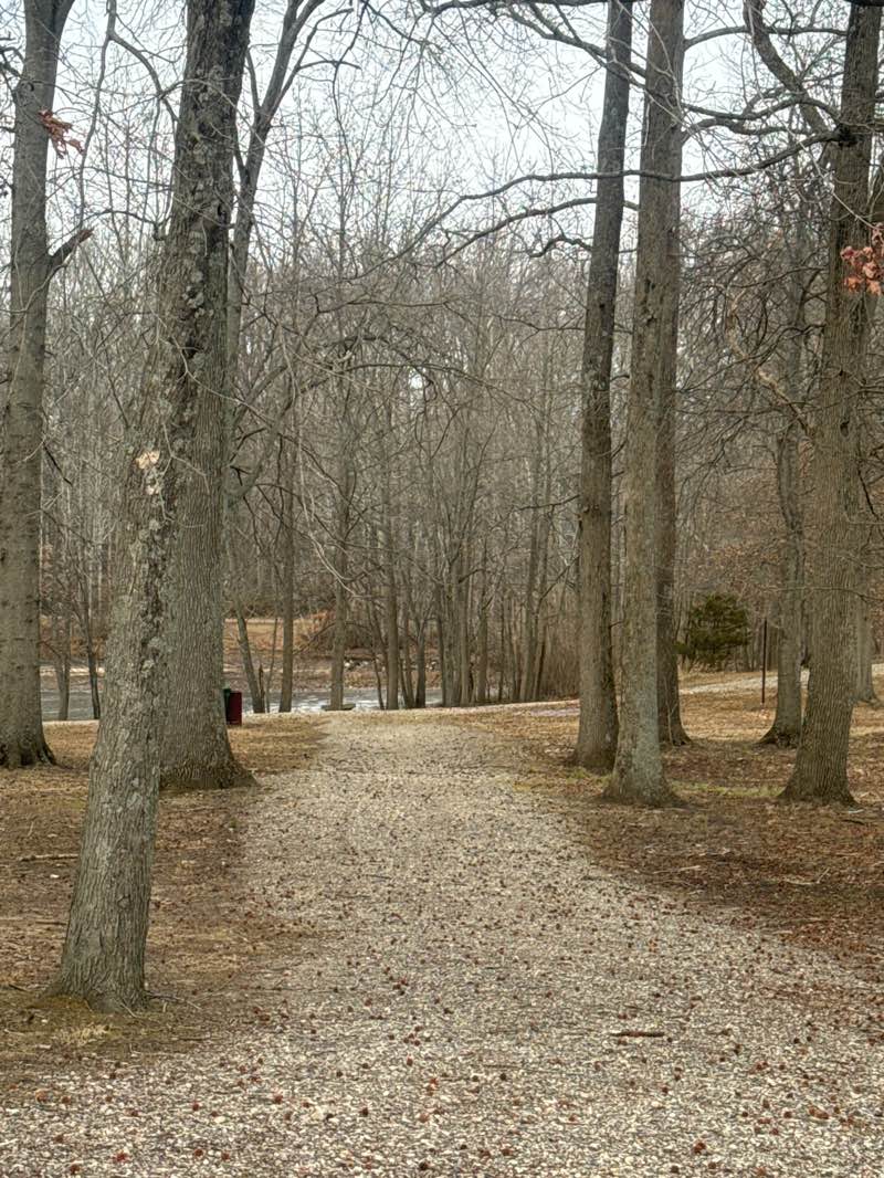 walking near me in Holiday Park in winter