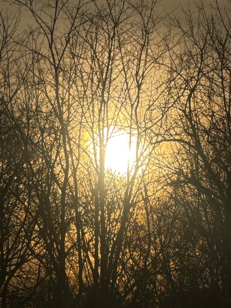 walking near me in Woodcrest Park in winter