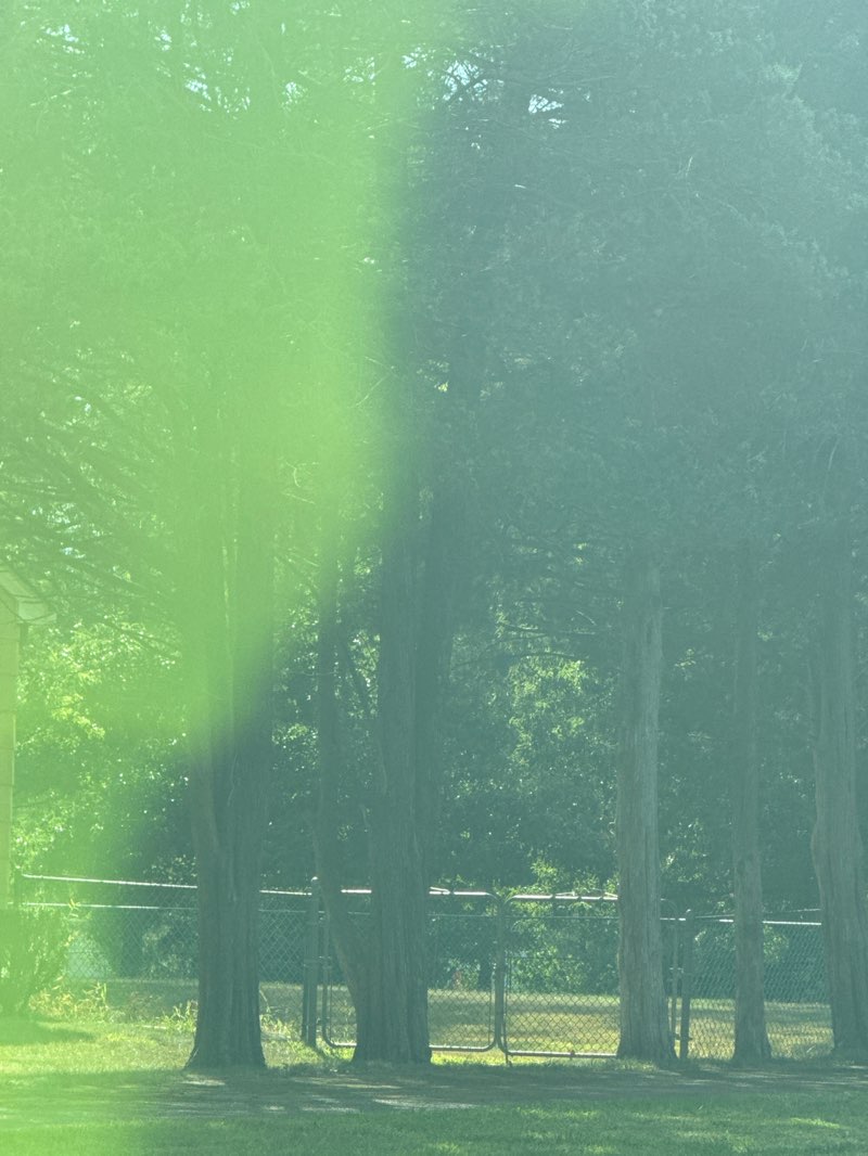 walking near me in Greentree Park in autumn