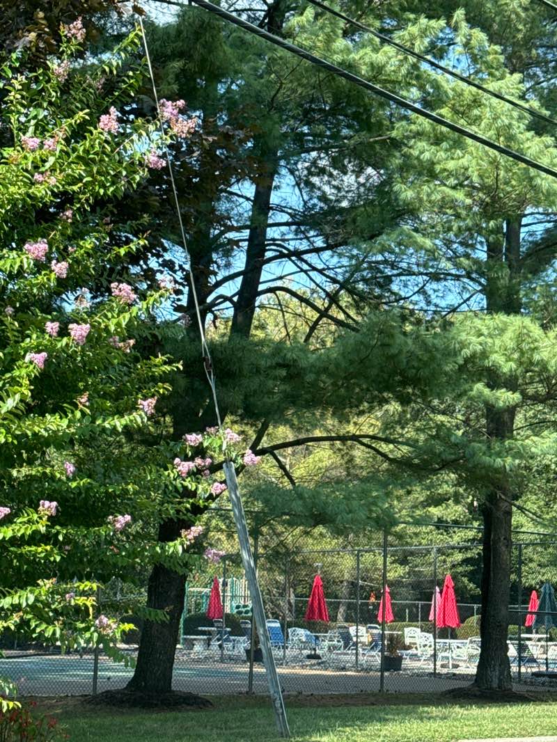 walking near me in Oak Woods Park in autumn
