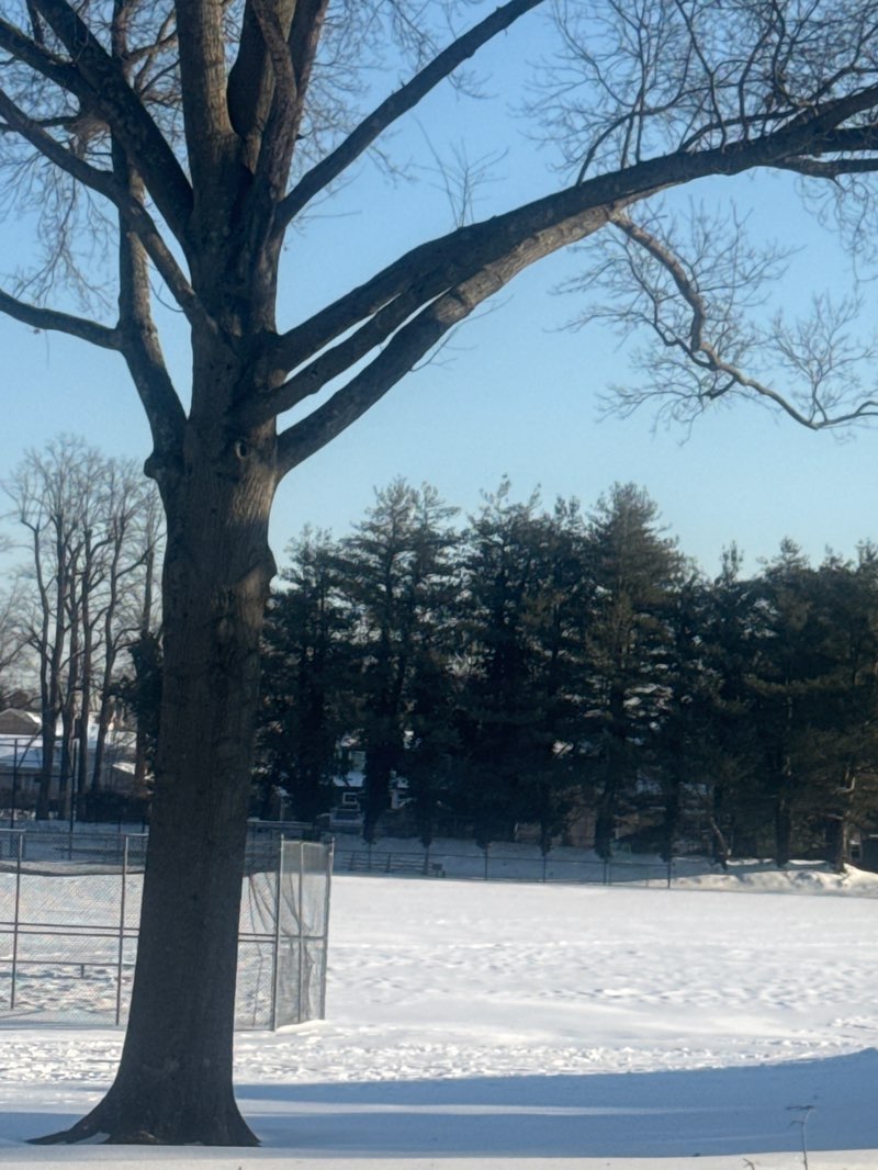 walking near me in Little Silver Gazebo Park in winter