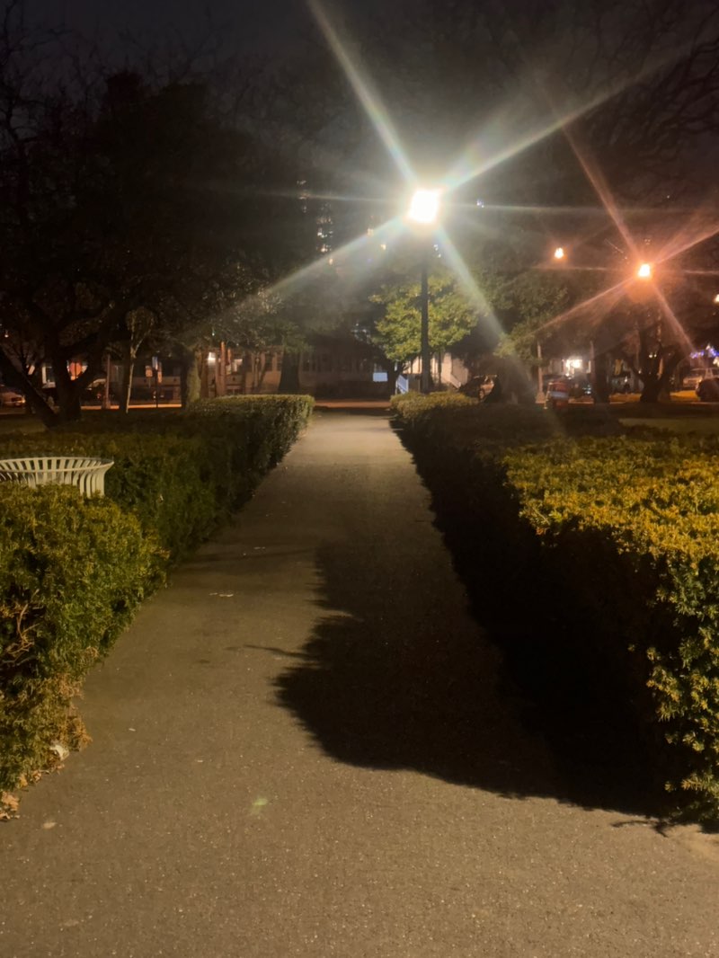 walking near me in Liberty Square Park in winter